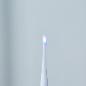 【LED電動歯ブラシ】プロテクトフォーススタンダード